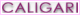 Producers of Truespace 3d modelling/rendering software Caligari